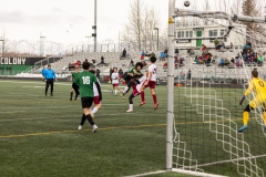 Colony-vs-Dimond-2-of-6