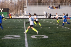 Colony-vs-Palmer-7-of-11